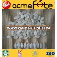 Acmefate 11-15cm Hot Sale Crop snow white pumpkin seeds