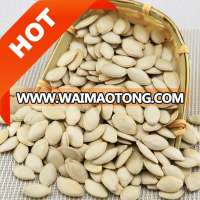 china shine skin pumpkin seeds