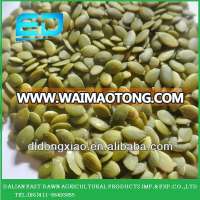 Shine Skin Pumpkin Seeds Kernels for buy pumpkin seeds , 2016 new crop Grade AA