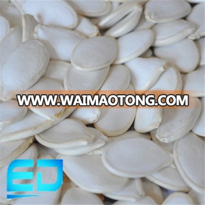 snow white pumkin seed from heilongjiang province