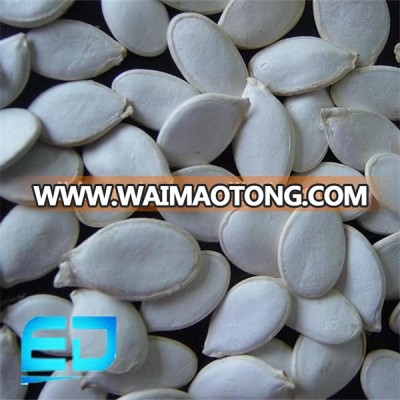 F1 Hybrid snow white Pumpkin Seeds,Sweet Pumpkin Seeds For Planting Deep white Flesh