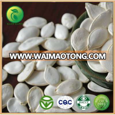 Viet Nam High Quality F1 Hybrid Pumpkin Seeds Vgp051