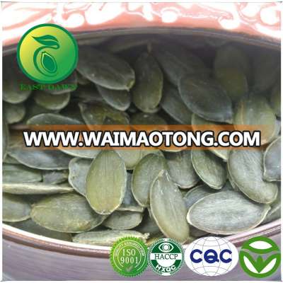 GWS Pumpkin Seeds Companies Email Address