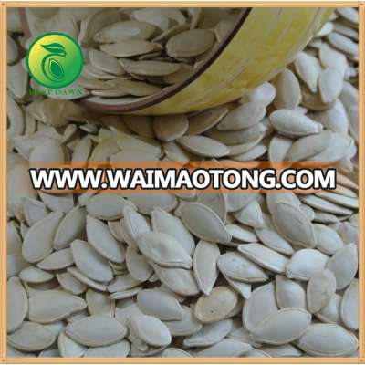 Dalian China Cover Crop Seeds Pumpkin Seeds