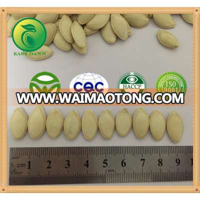 pumpkin seed hulling machine importer