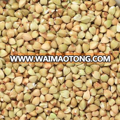 Bulk sell hulled raw buckwheat kernels