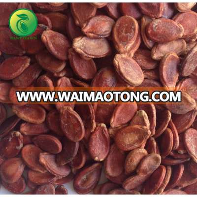 Chinese roasted watermelon seed