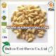 pinenut kernels pinus koraiensis wholesale